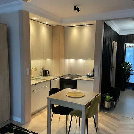 Golden Mood City Apartment Wroclaw Exterior photo